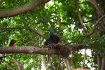 DSC_9075.JPG